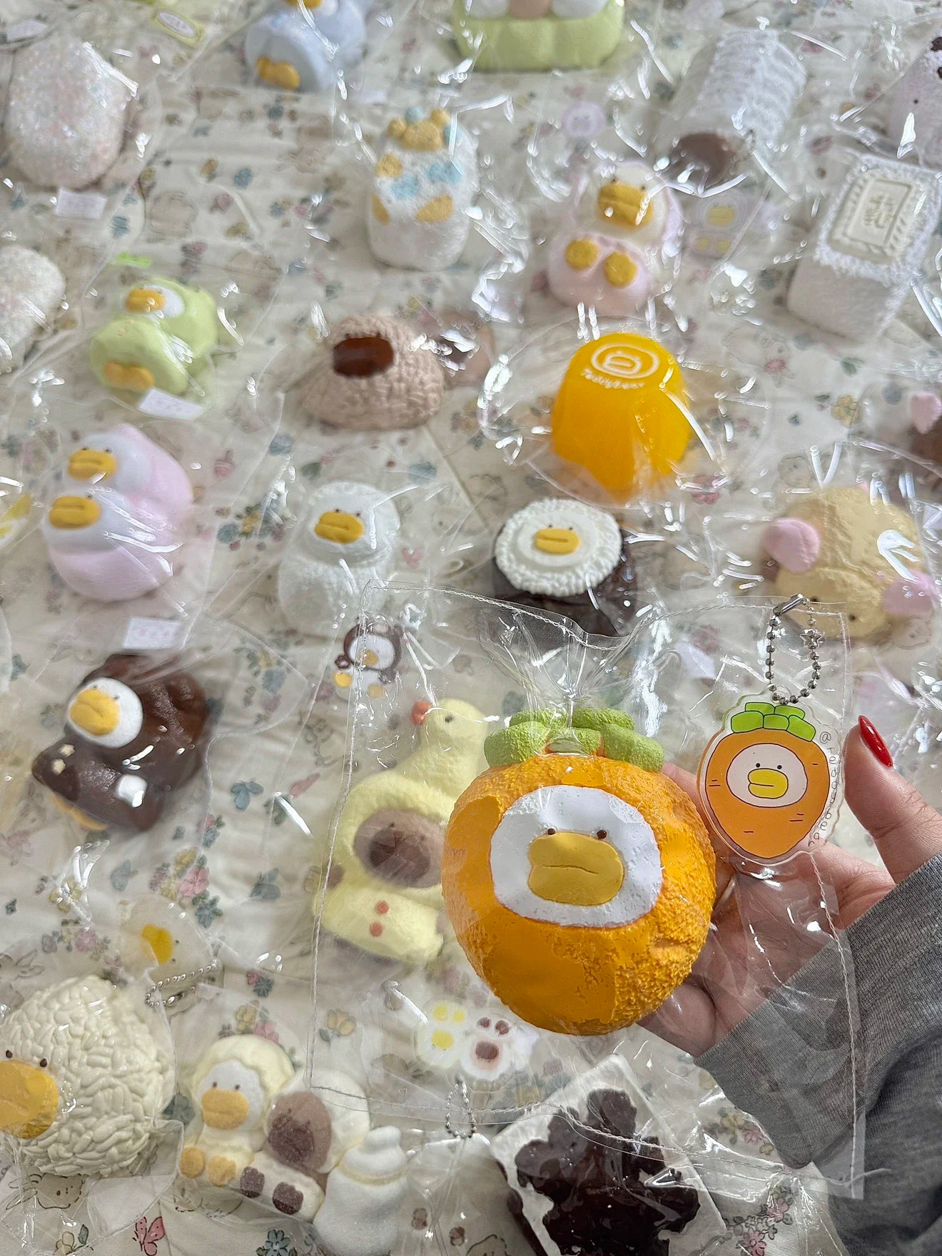 Teddybear studio 鸭鸭系列