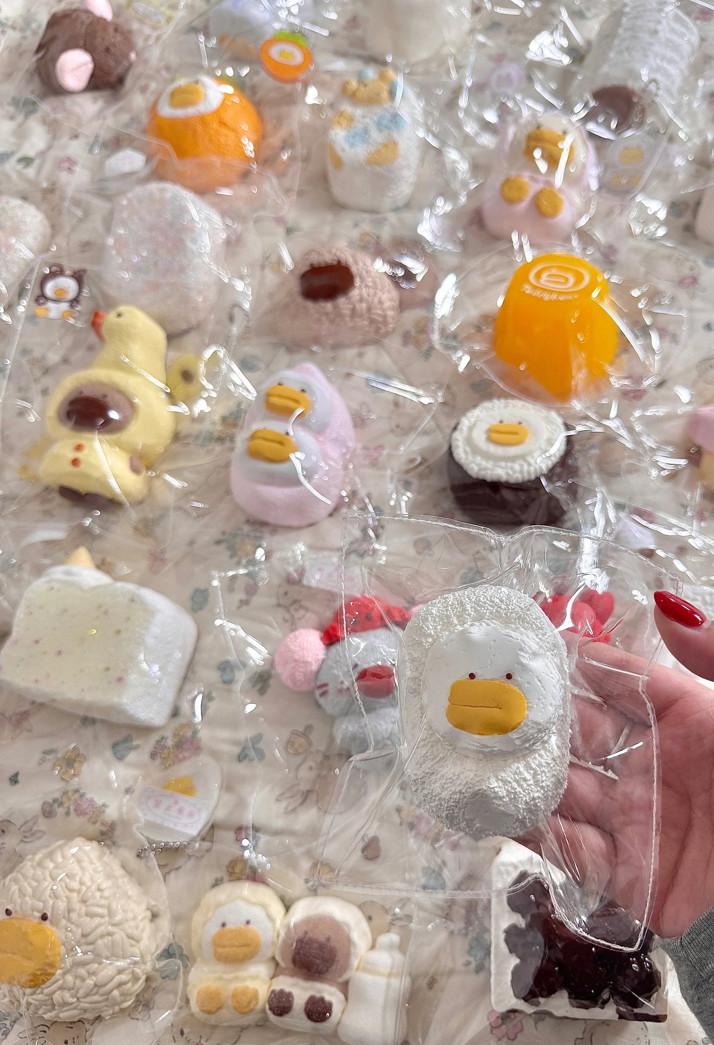 Teddybear studio 鸭鸭系列